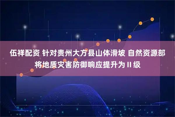 伍祥配资 针对贵州大方县山体滑坡 自然资源部将地质灾害防御响应提升为Ⅱ级