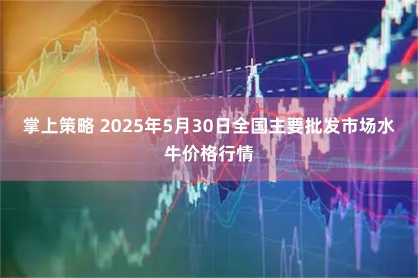 掌上策略 2025年5月30日全国主要批发市场水牛价格行情