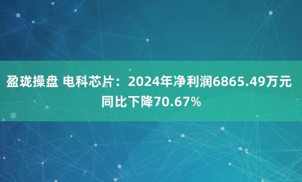 盈珑操盘 电科芯片：2024年净利润6865.49万元 同比下降70.67%