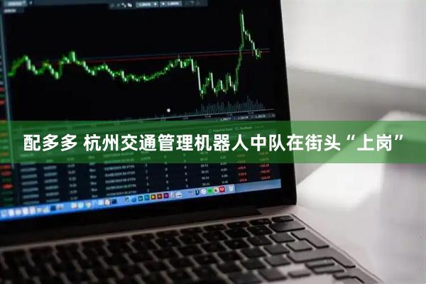 配多多 杭州交通管理机器人中队在街头“上岗”